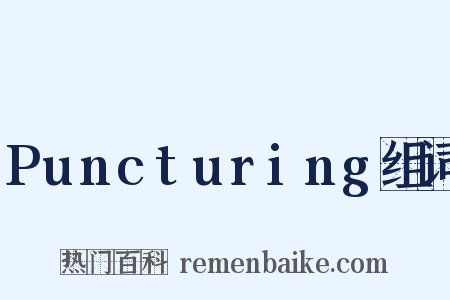 Puncturing组词是什么意思的图片